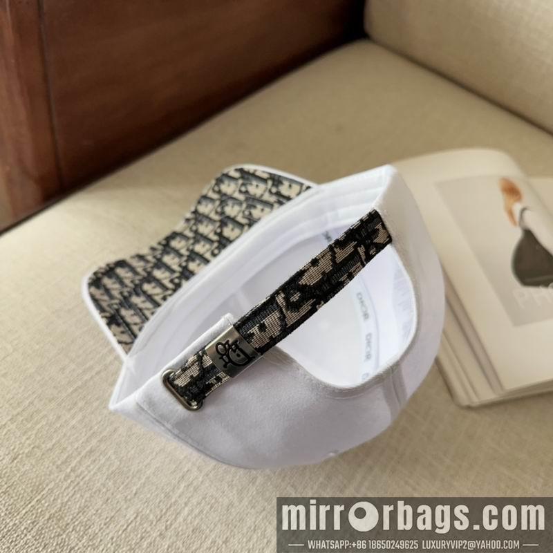 Dior Hat dx11
