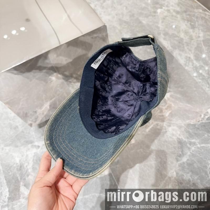 Dior Hat dx11