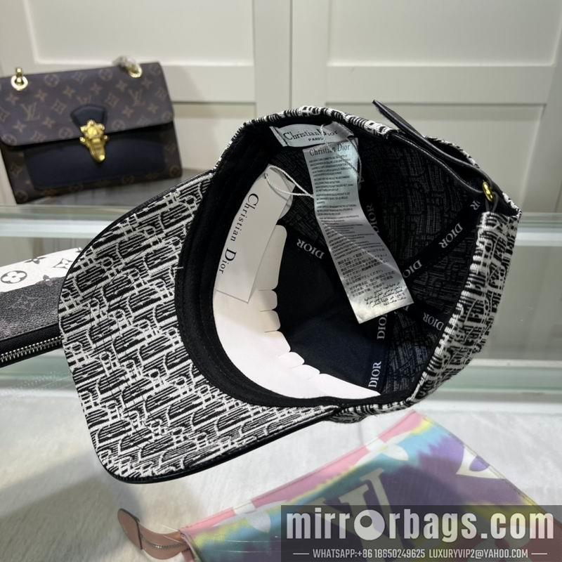 Dior Hat dxDior Hat dx73
