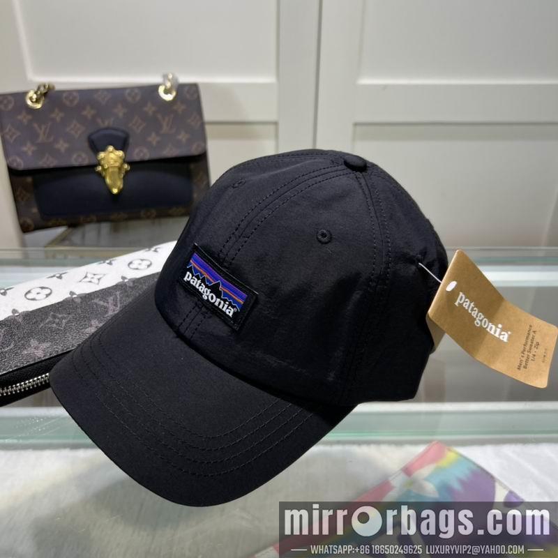 Patagonia Hat dx08