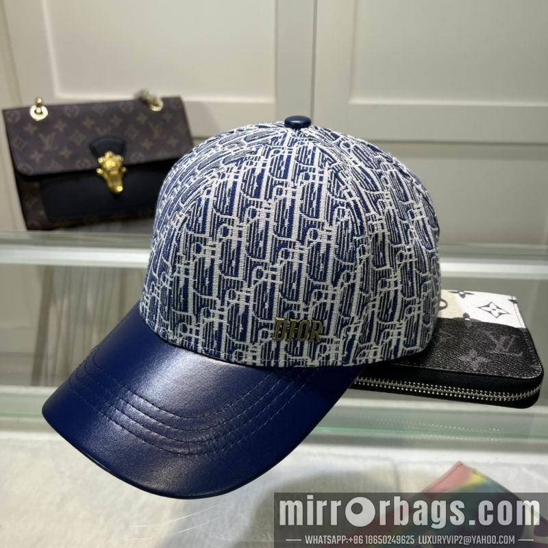 Dior Hat dxDior Hat dx73