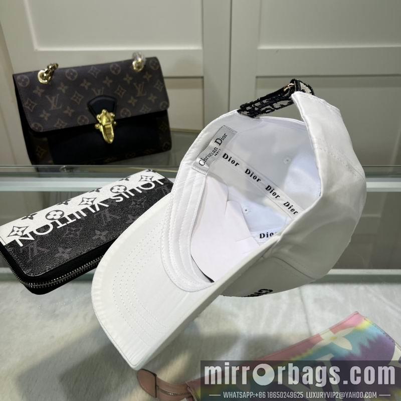 Dior Hat dx10