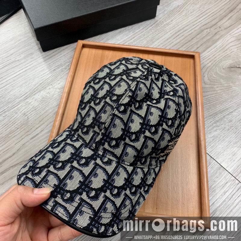 Dior Hat dx28