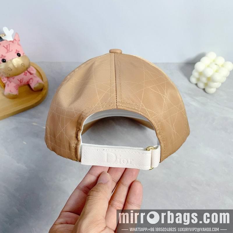 Dior Hat dx54