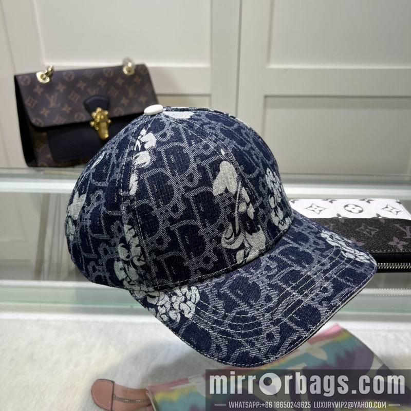 Dior Hat dx29