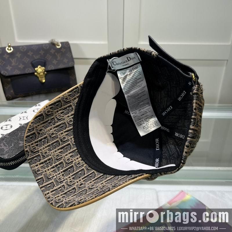 Dior Hat dxDior Hat dx73