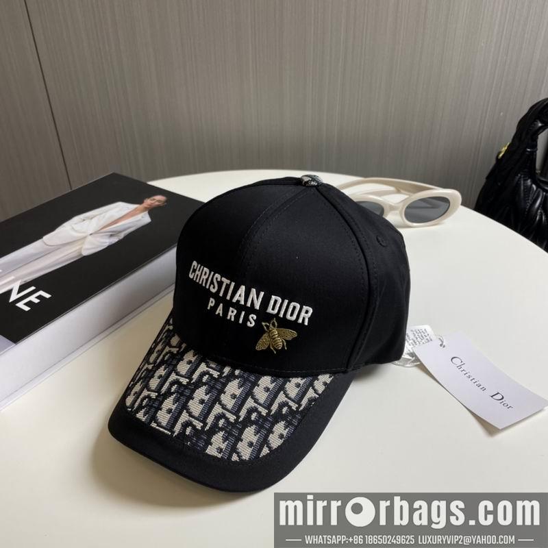 Dior Hat 081001