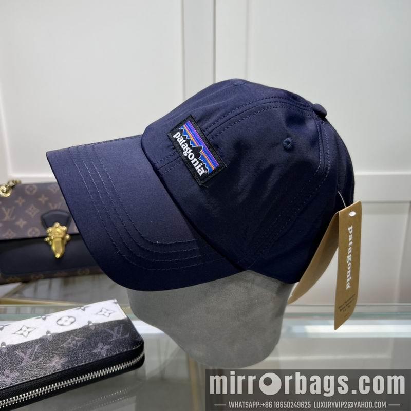 Patagonia Hat dx08