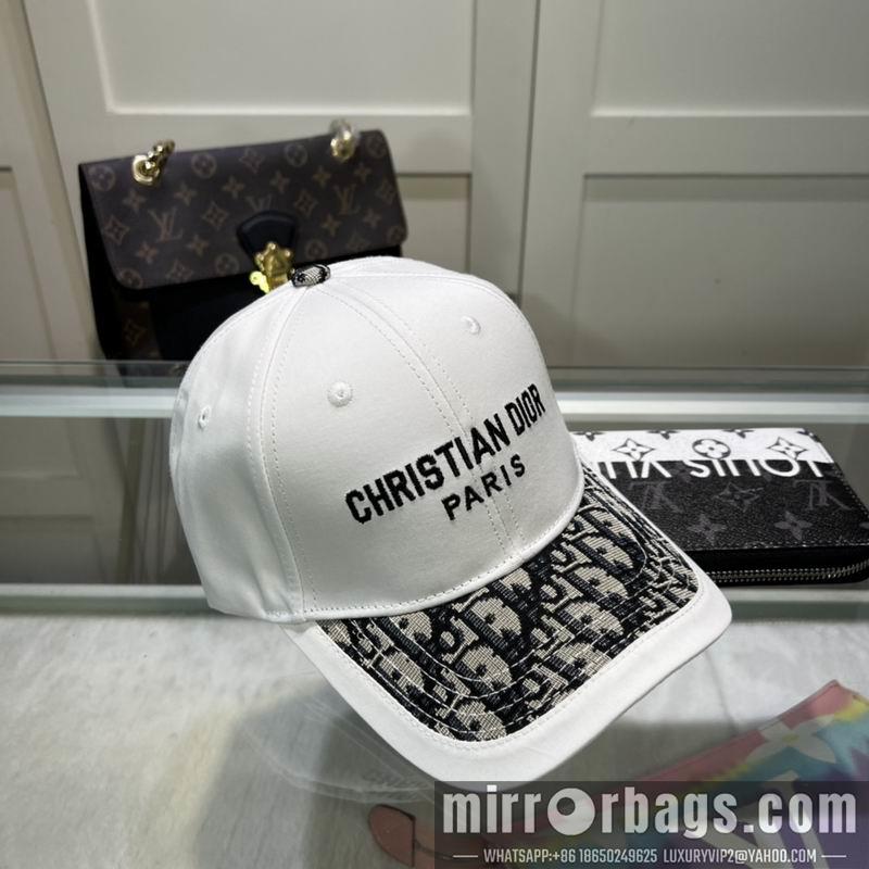 Dior Hat dx10
