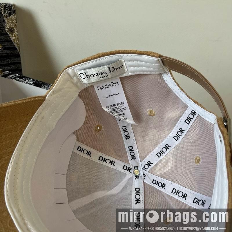Dior Hat dx17