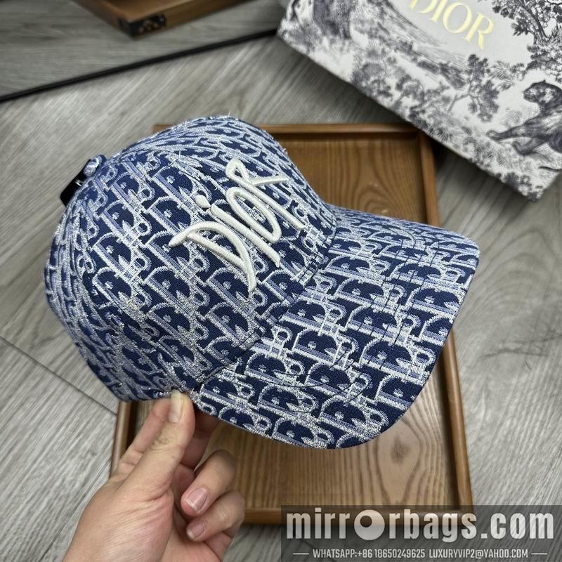 Dior Hat dx12