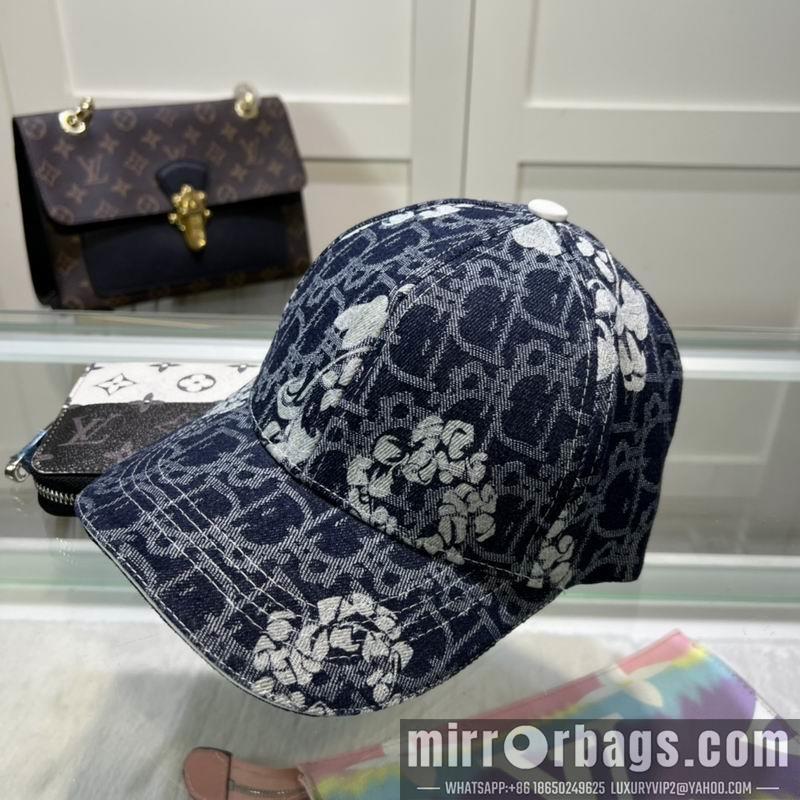 Dior Hat dx29