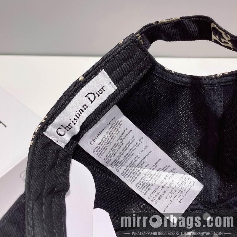Dior Hat 010201