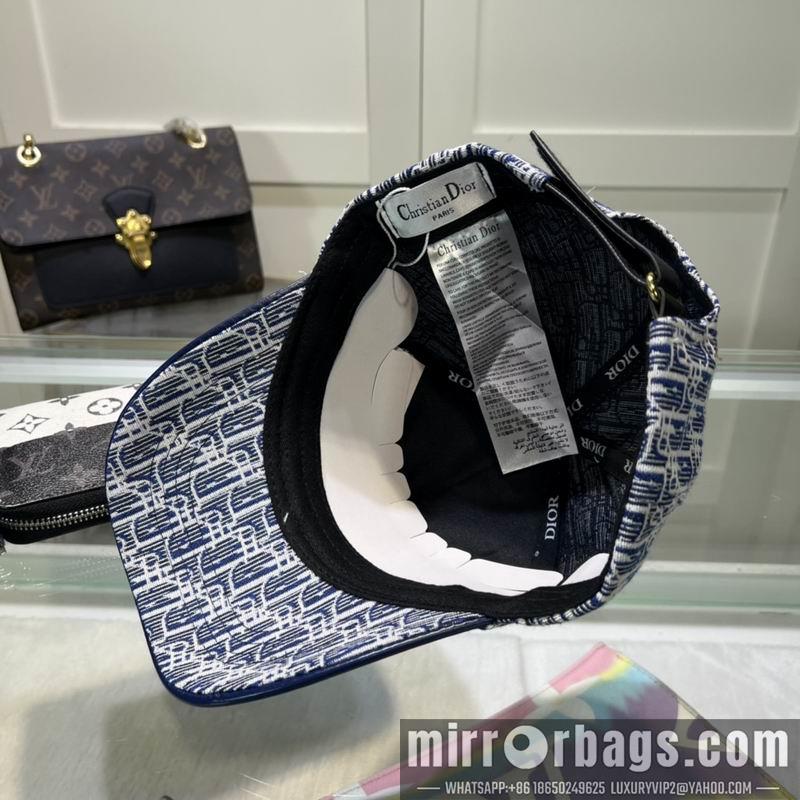 Dior Hat dxDior Hat dx73