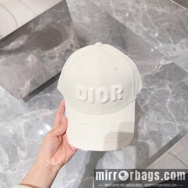 Dior Hat dx12