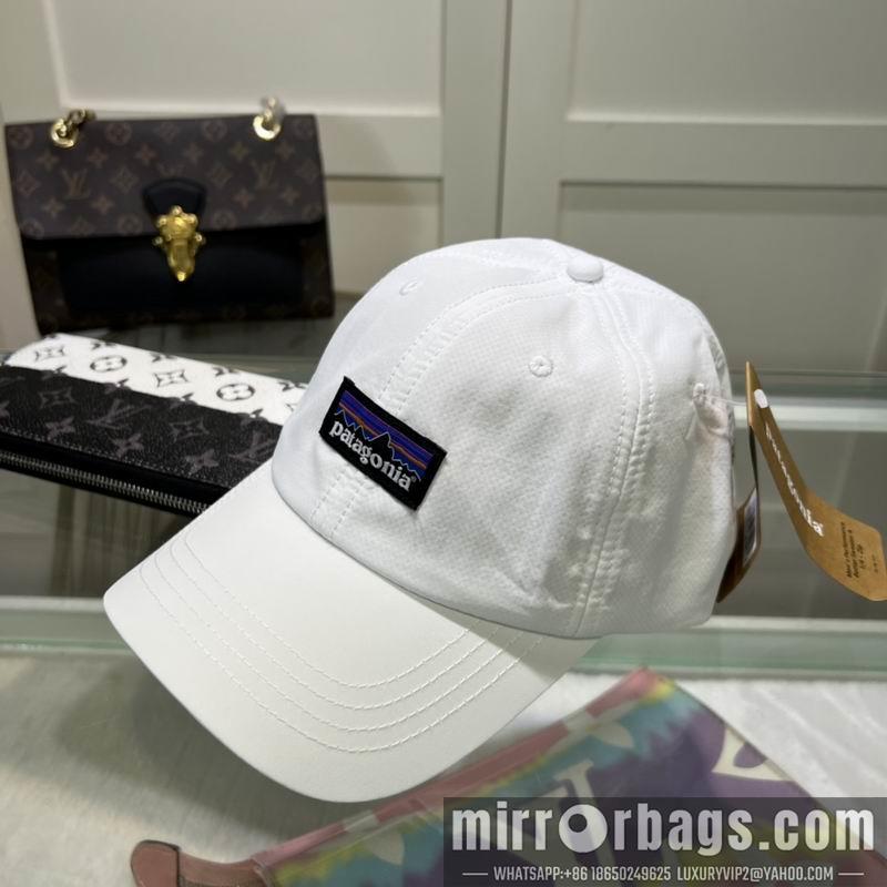 Patagonia Hat dx08