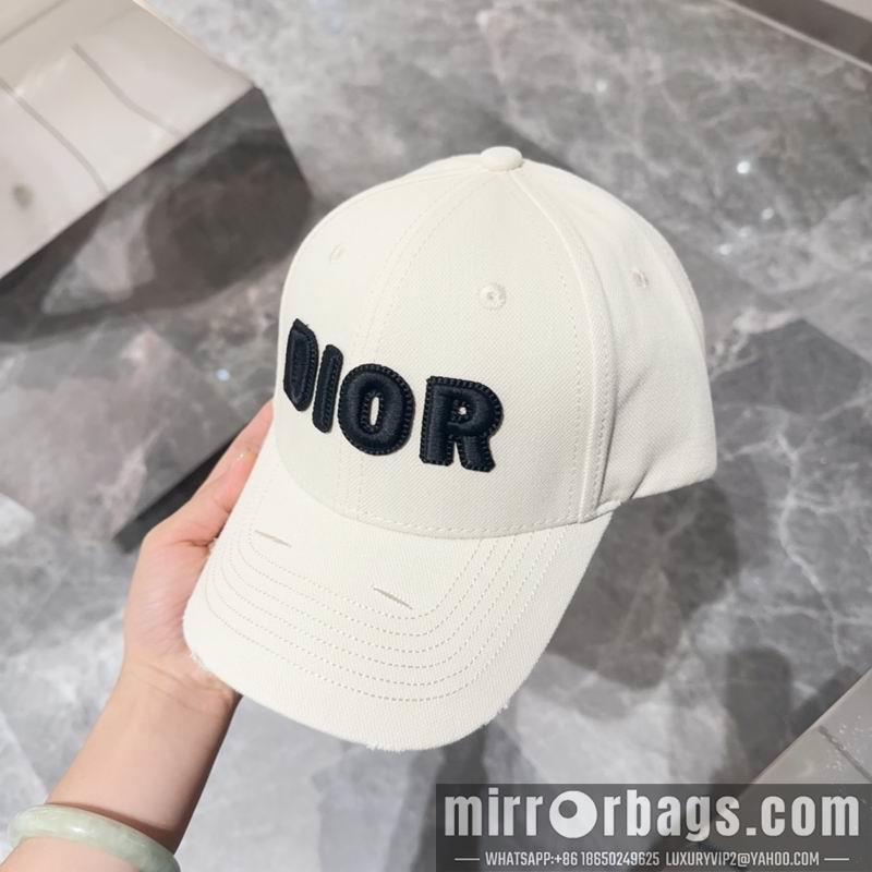 Dior Hat dx12