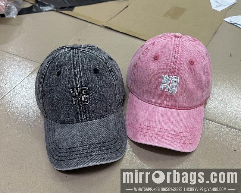 Alexander Wang Hat dx02