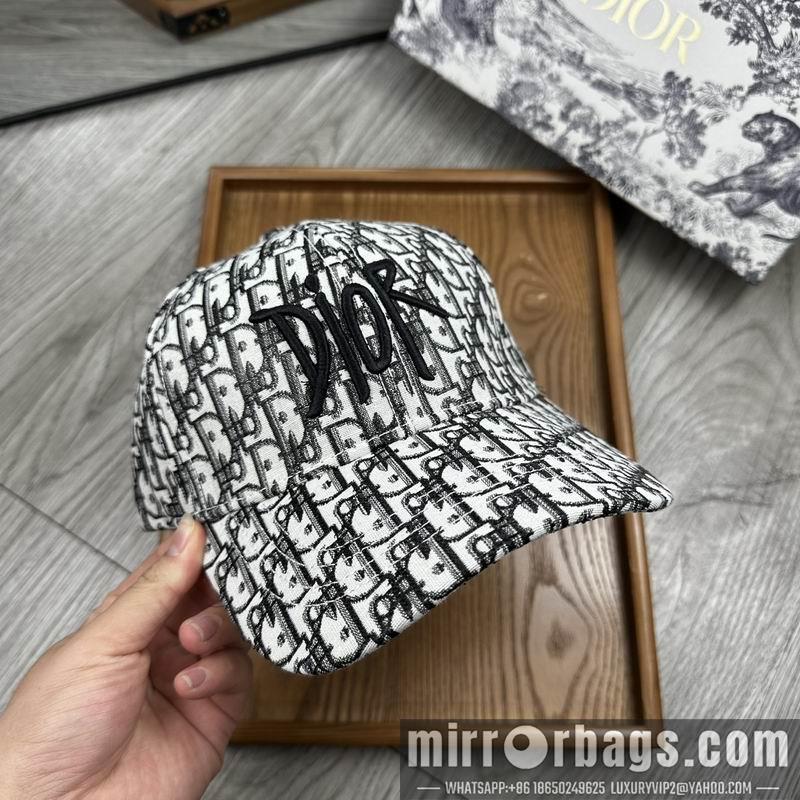 Dior Hat dx12