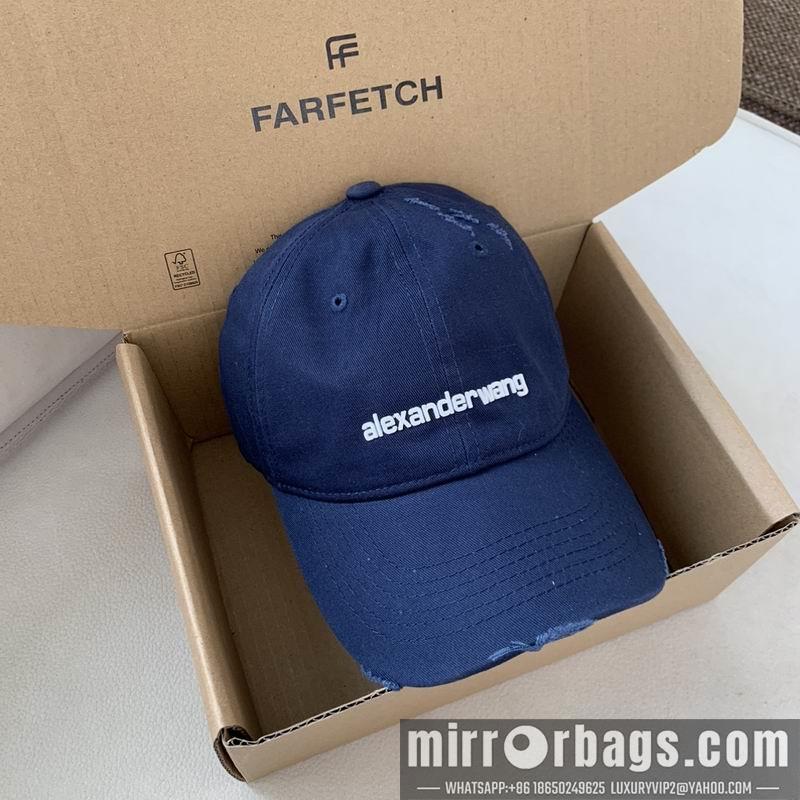 Alexander Wang Hat dx13