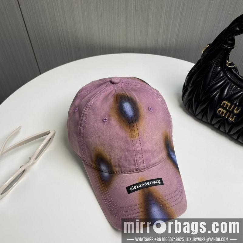 Alexander Wang Hat dx17