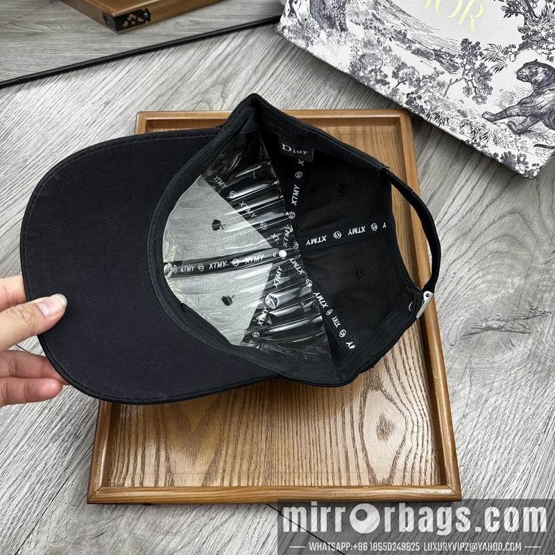 Dior Hat dx11
