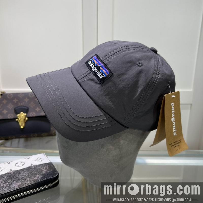Patagonia Hat dx08