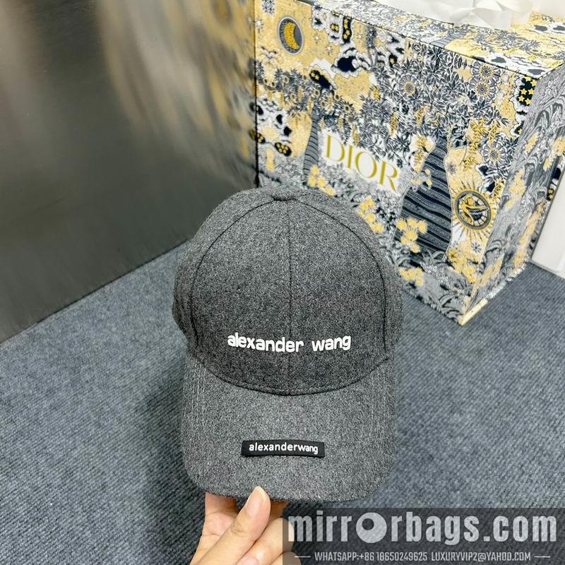 Alexander Wang Hat dx15