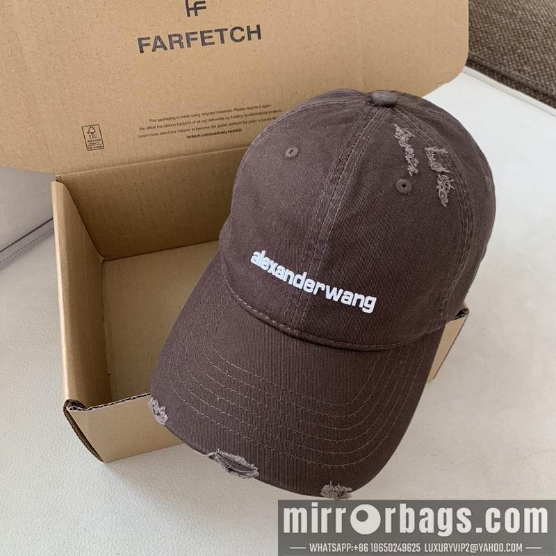 Alexander Wang Hat dx13