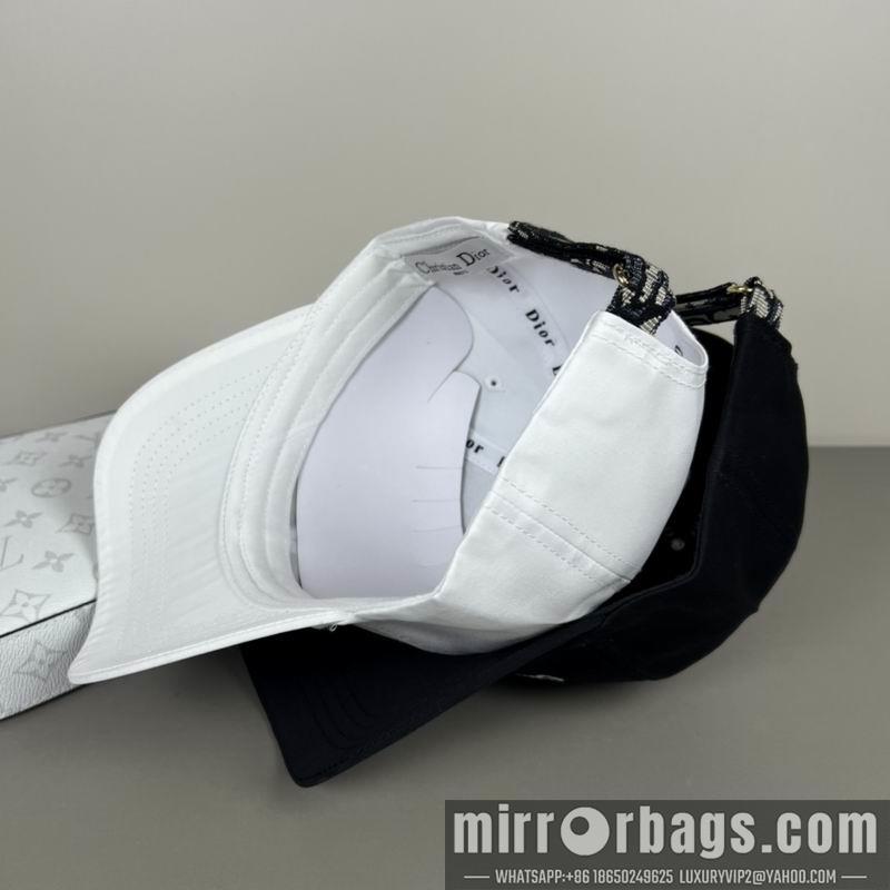 Dior Hat dx13