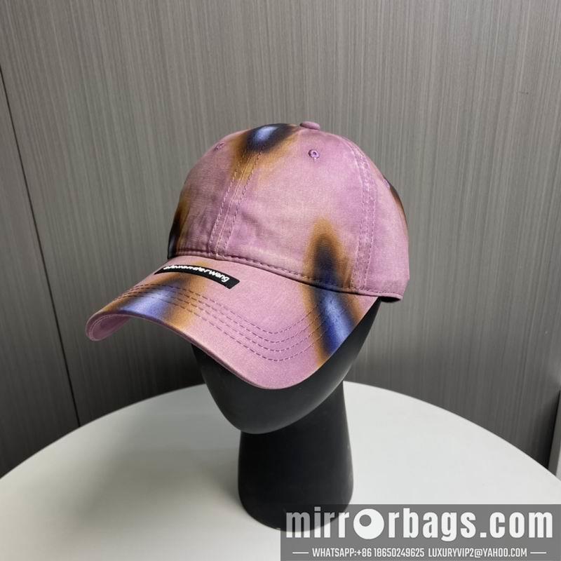 Alexander Wang Hat dx17