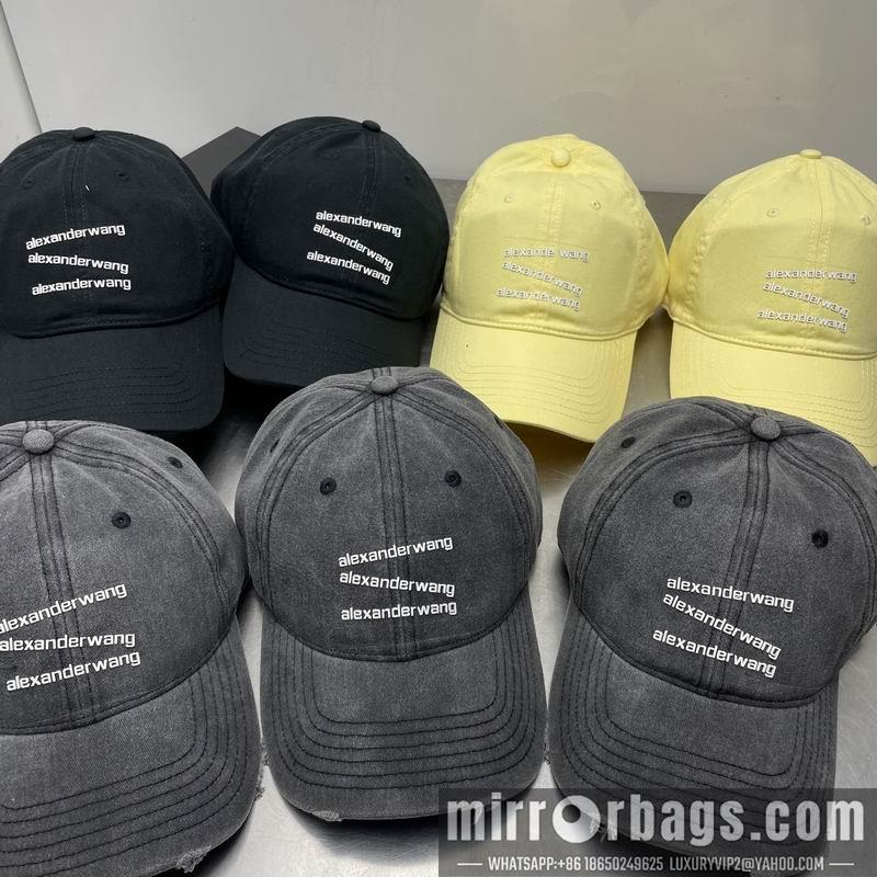 Alexander Wang Hat dx21