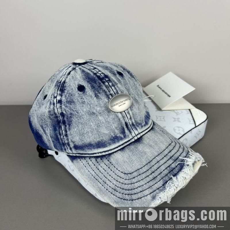 Alexander Wang Hat dx20