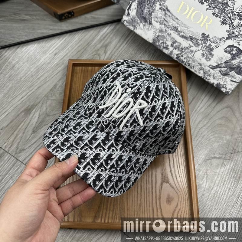 Dior Hat dx12