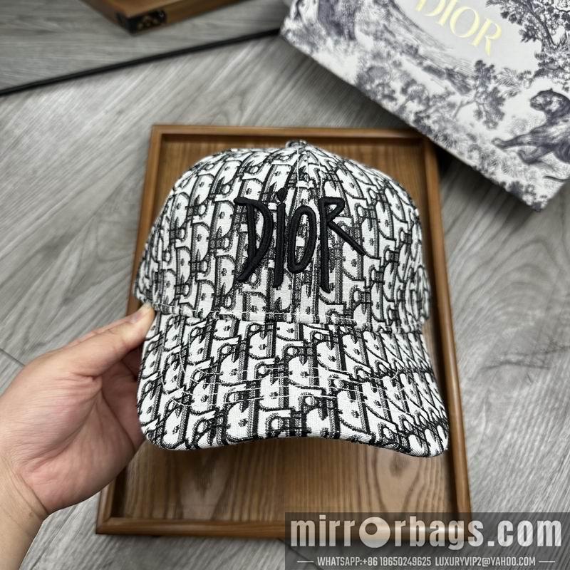 Dior Hat dx12