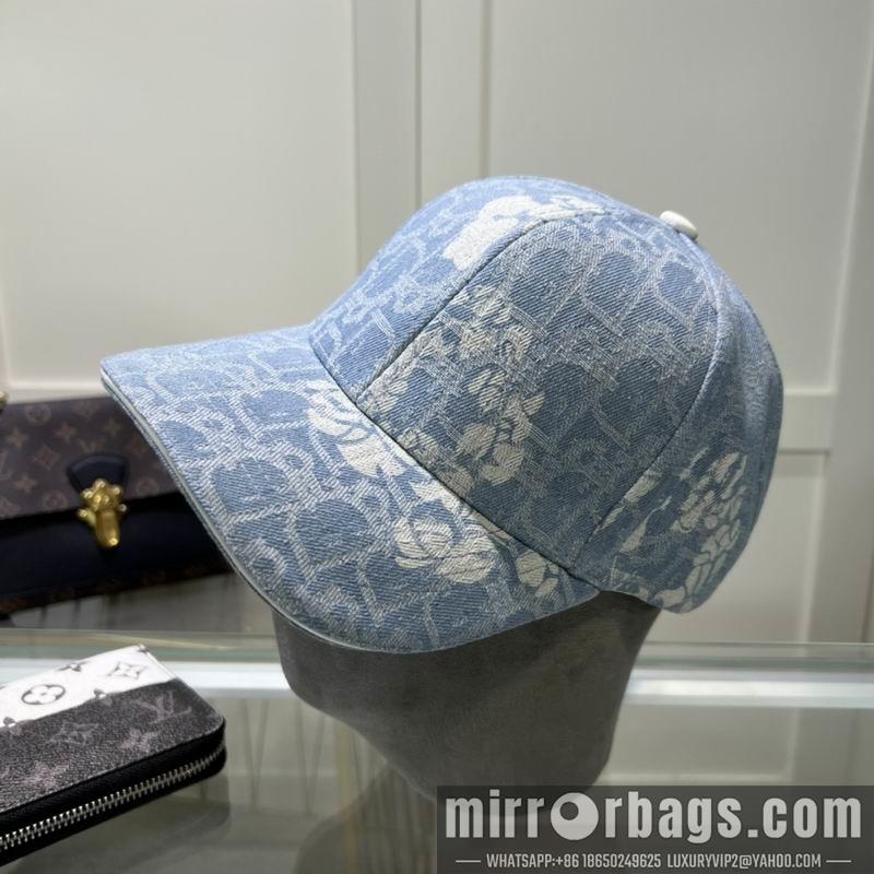 Dior Hat dx29