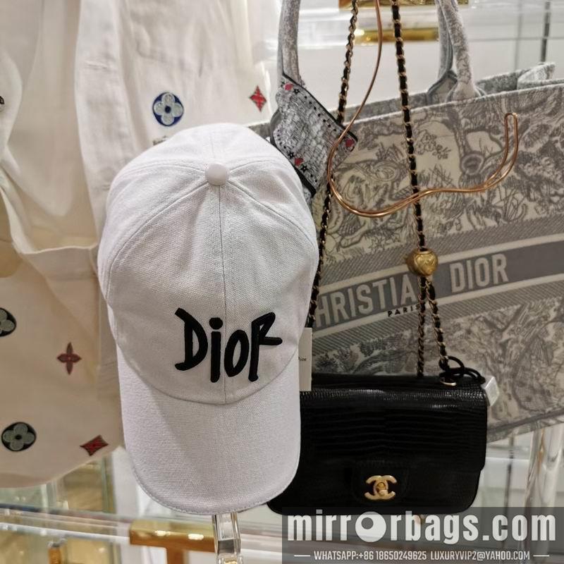 Dior Hat dx04