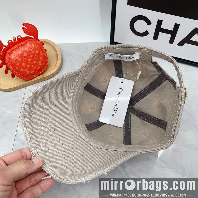 Dior Hat dx01