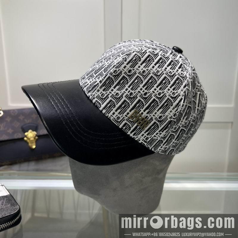 Dior Hat dxDior Hat dx73
