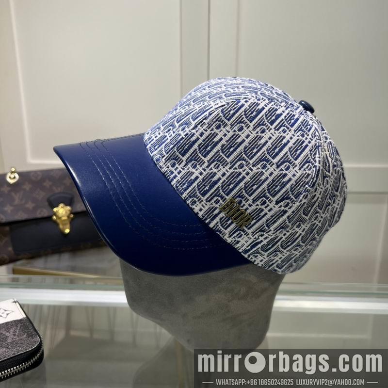 Dior Hat dxDior Hat dx73