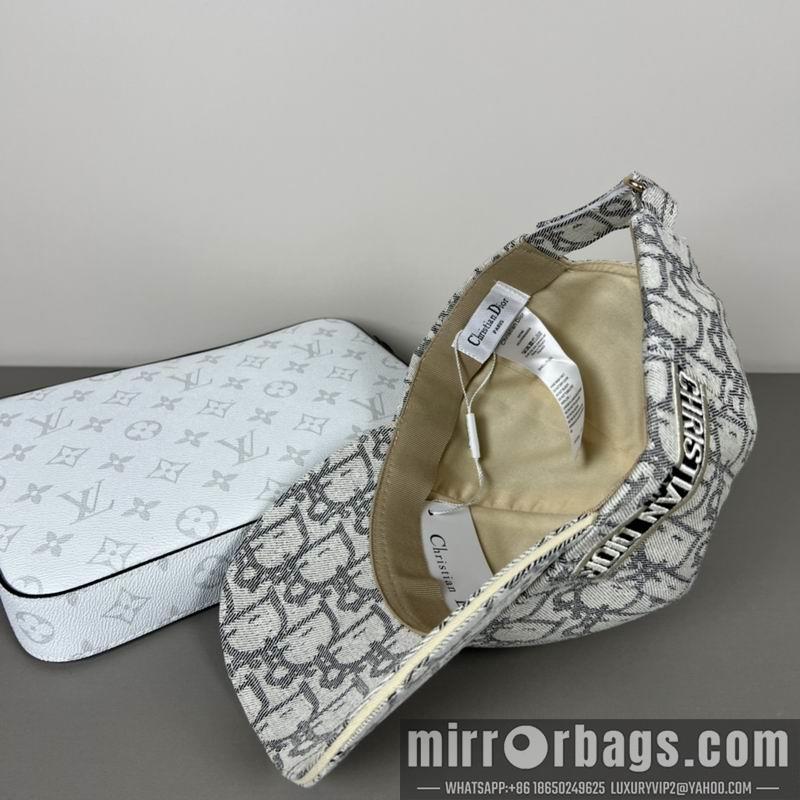 Dior Hat dx14
