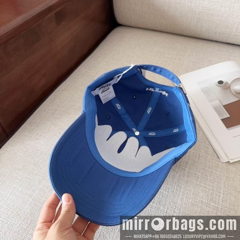 Emis Hat dx01