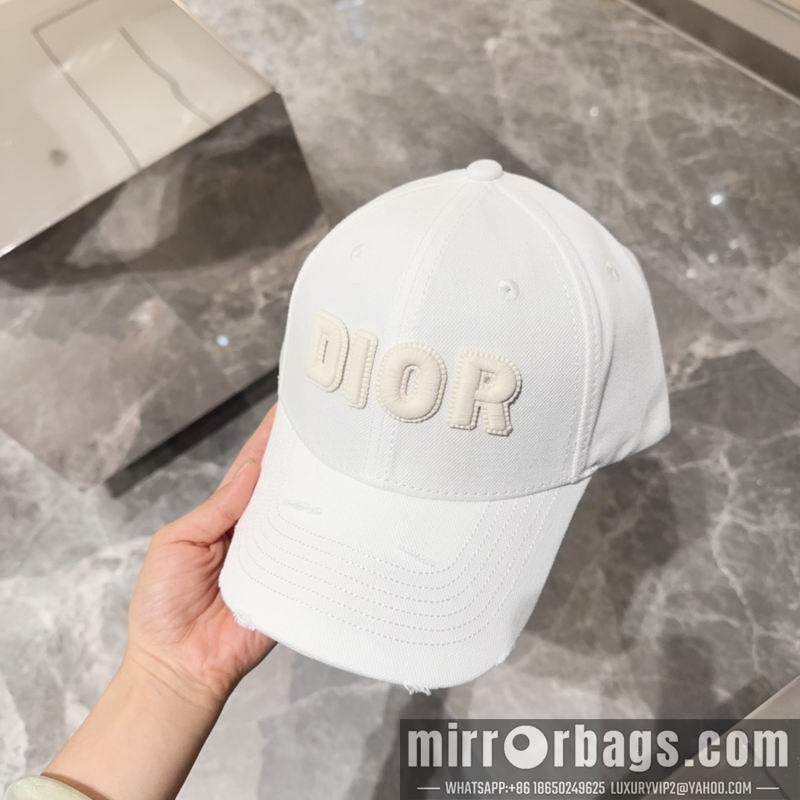 Dior Hat dx12
