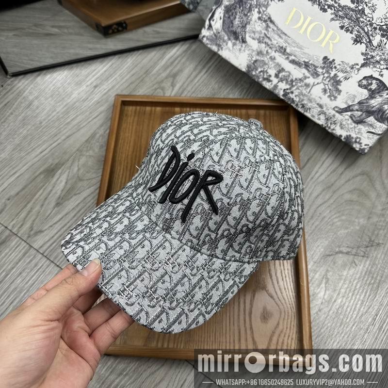 Dior Hat dx12