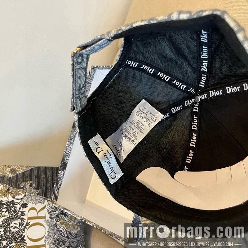 Dior Hat dx19