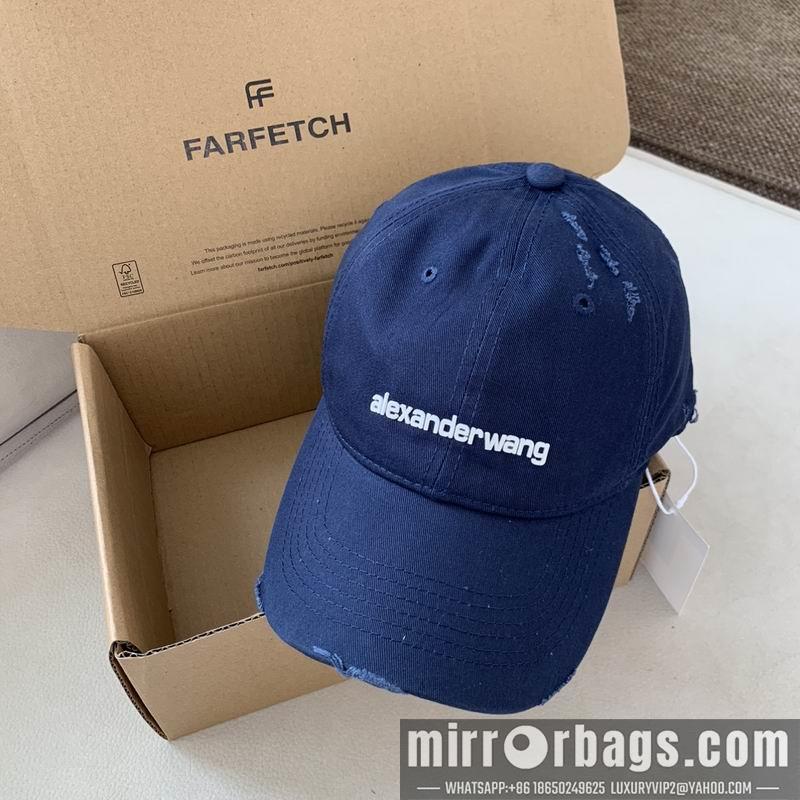 Alexander Wang Hat dx13