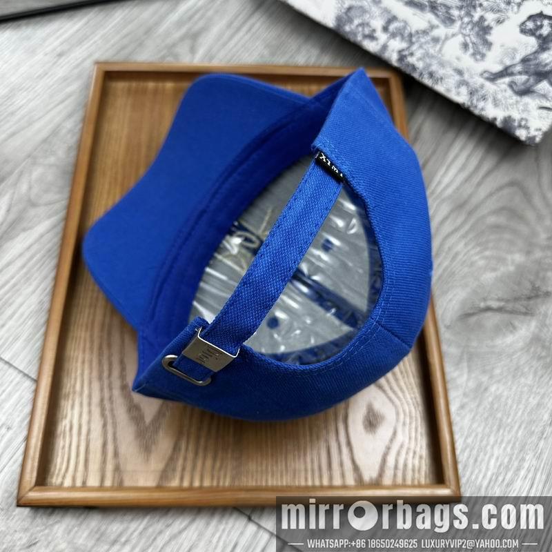 Dior Hat dx11