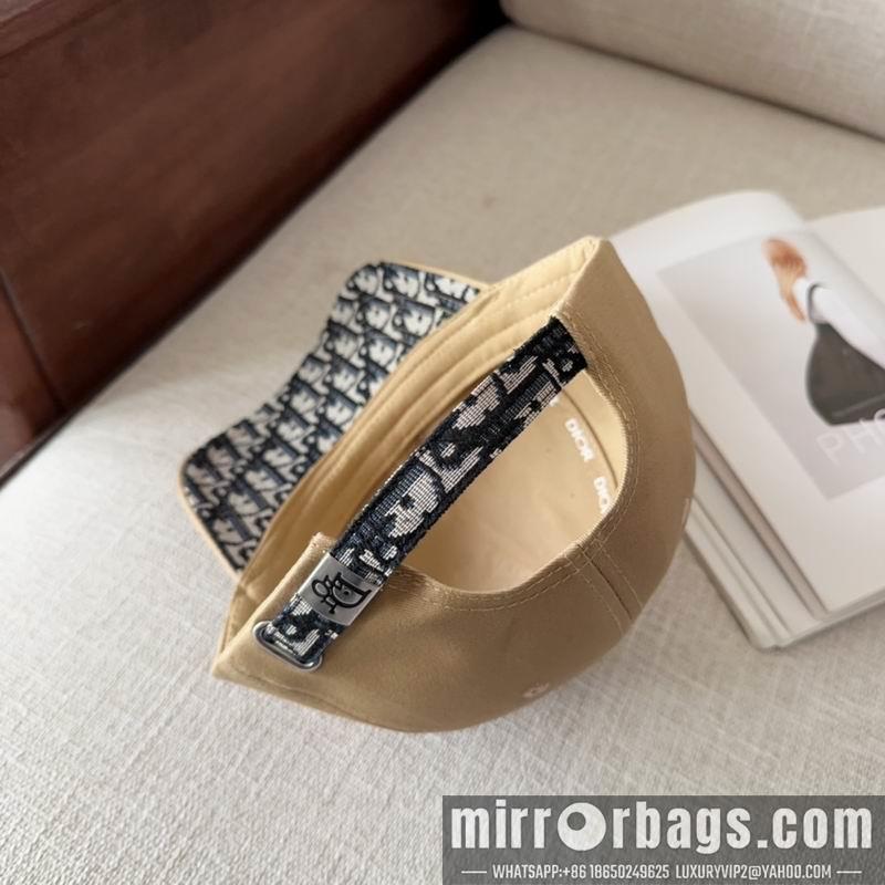 Dior Hat dx11