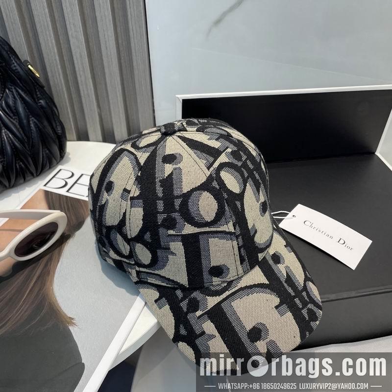 Dior Hat dx20