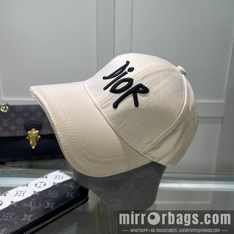 Dior Hat dx58